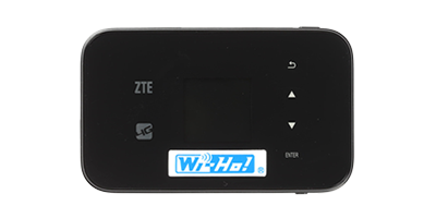 廣域型 (4G-LTE)